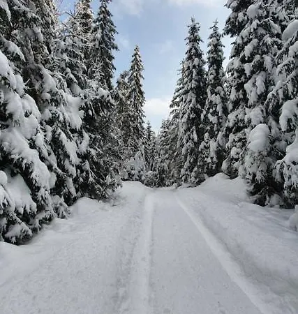 Apartman Nad Czorsztynem Mizerna