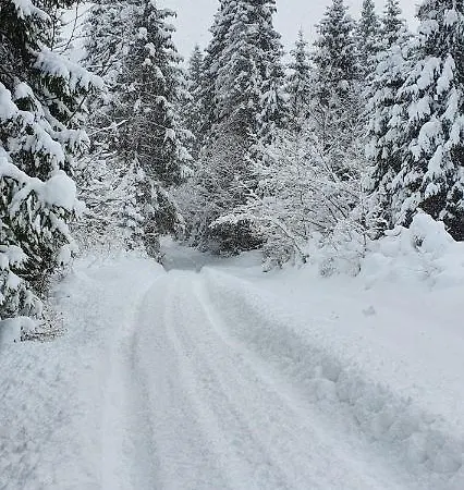 Lejlighed Nad Czorsztynem *