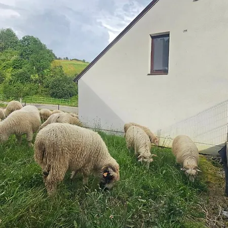 Appartamento Nad Czorsztynem *