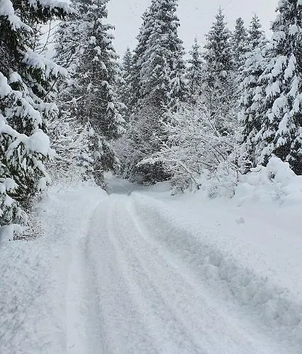 Διαμέρισμα Nad Czorsztynem *