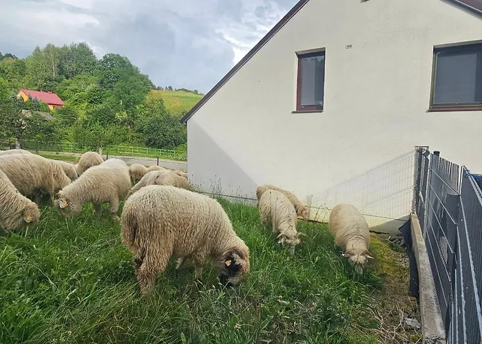 Διαμέρισμα Nad Czorsztynem *